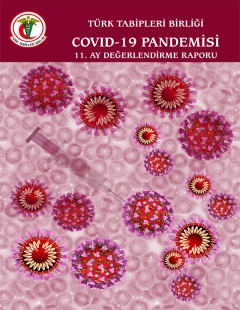 TTB COVID-19 Pandemisi 11. Ay Değerlendirme Raporu