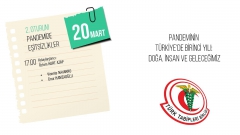 Pandeminin Türkiye’de Birinci Yılı Sempozyumu: Pandemide Eşitsizlikler