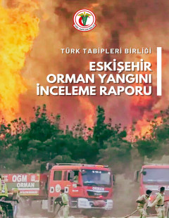 TTB Eskişehir Orman Yangını İnceleme Raporu