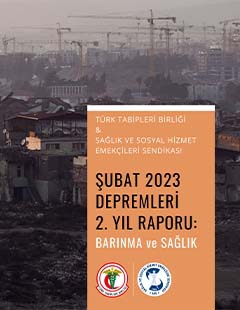 Şubat 2023 Depremleri 2. Yıl Değerlendirme Raporu